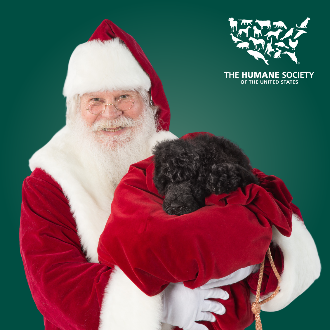 Pet Photo Nights with Santa Walden Galleria