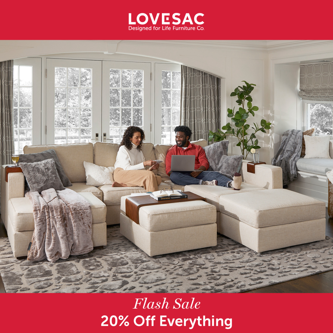 Lovesac furniture for deals sale