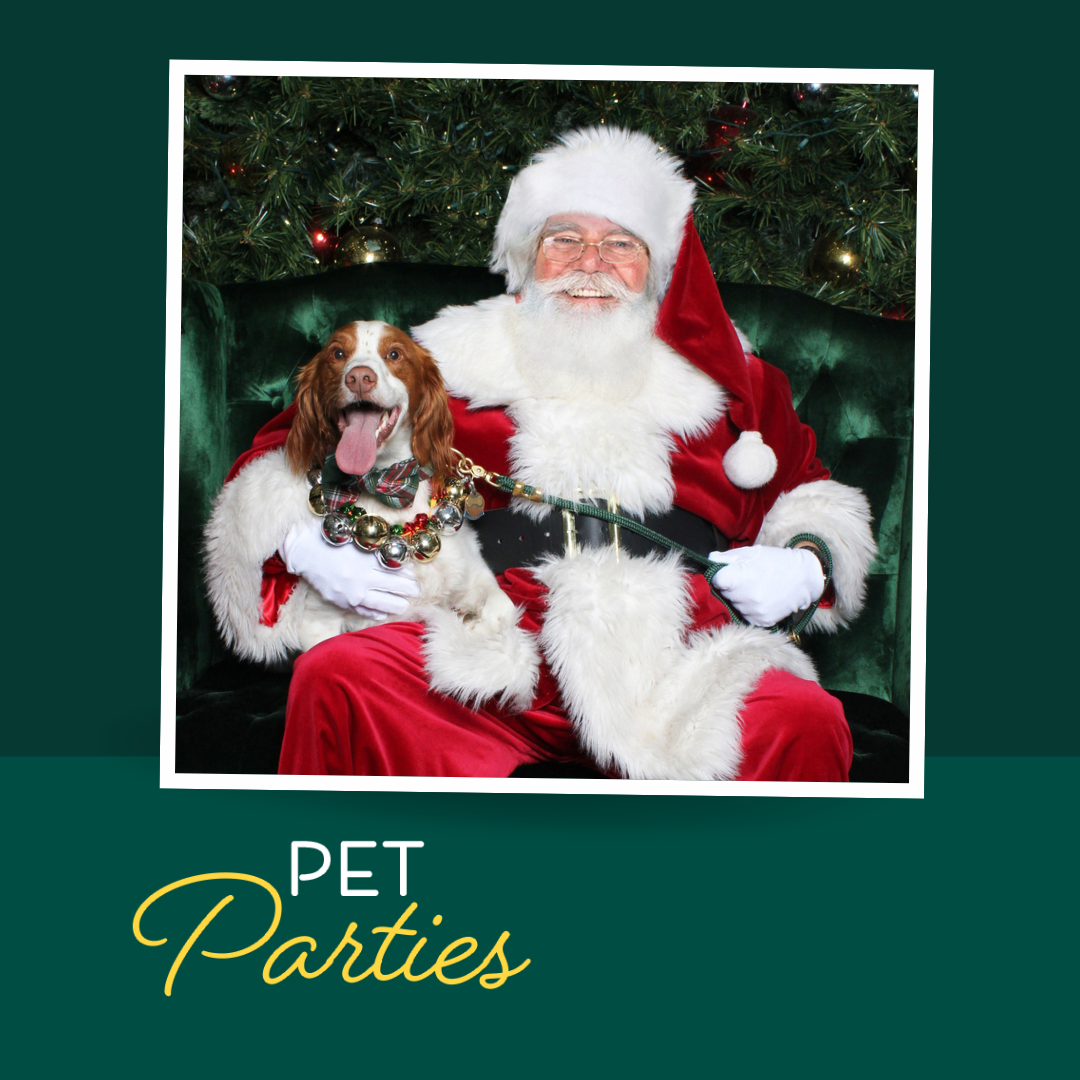 Pet Photo Nights with Santa - Walden Galleria