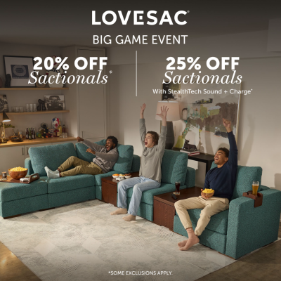 lovesac 1